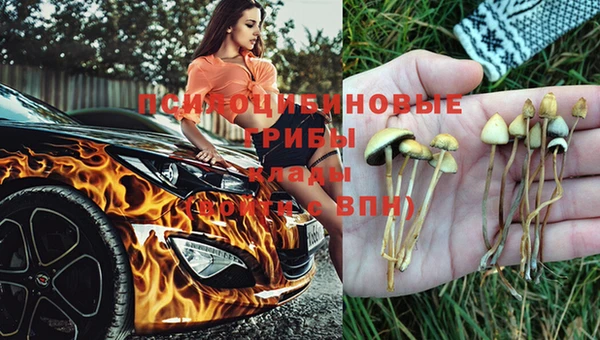 марки nbome Алзамай