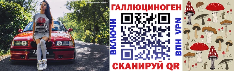где купить наркоту Бежецк Псилоцибиновые грибы ЛСД